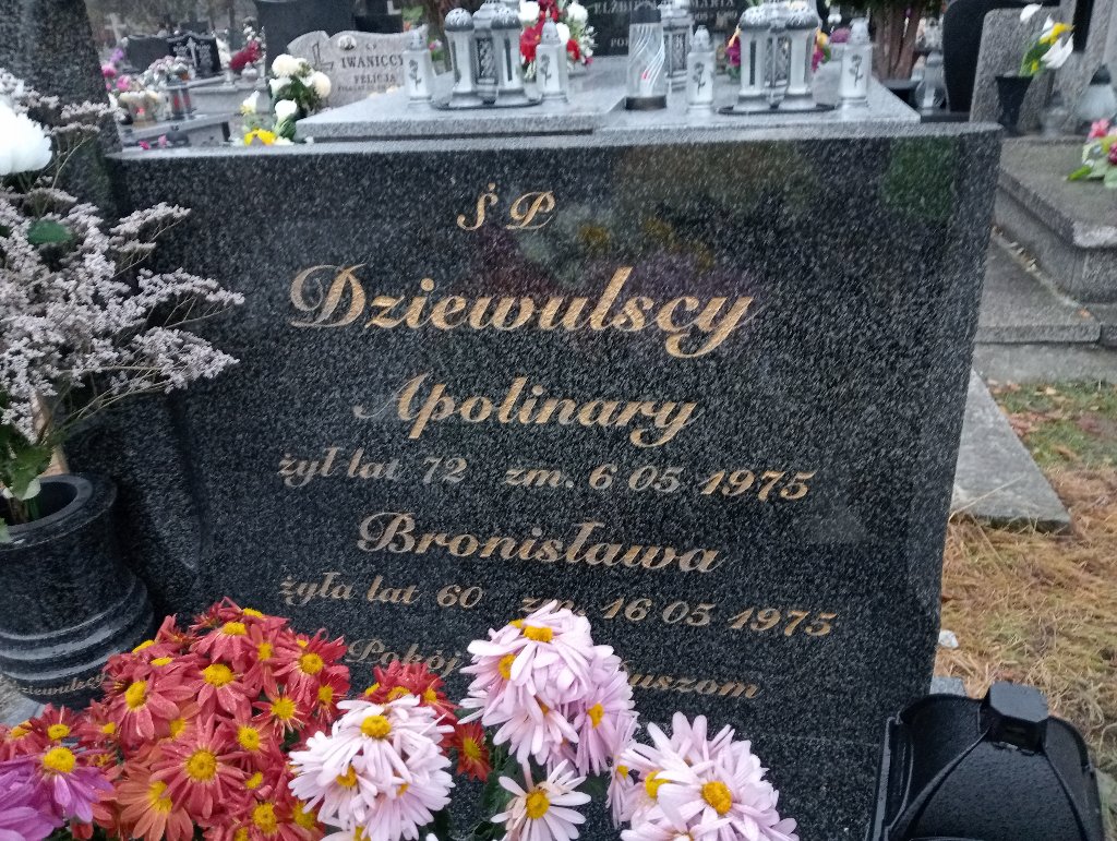Grób Apolinary Dziewulski