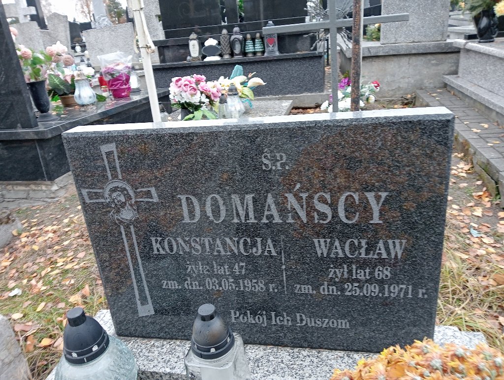 Grób Wacław Domański