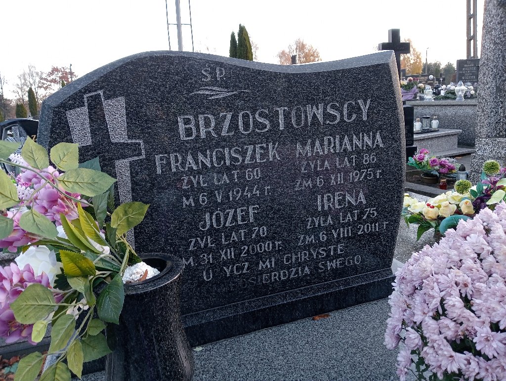 Grób Franciszek Brzostowski